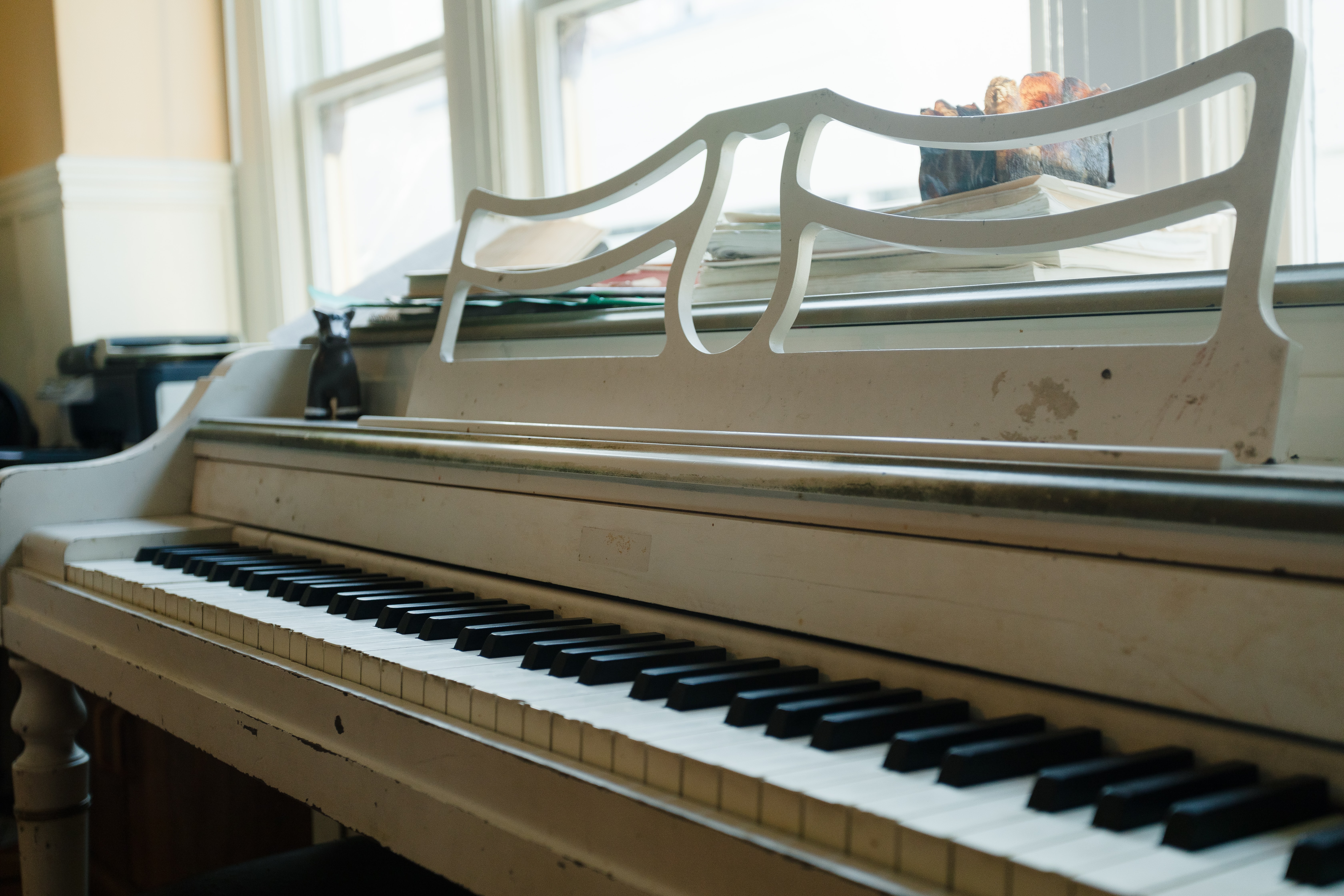 Piano Cleaning and Polishing Service